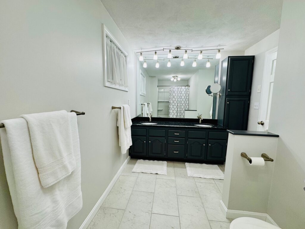 Modern bathroom with black cabinetry and bright lighting.